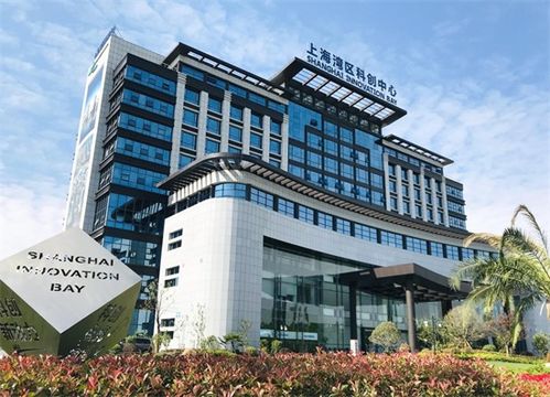 從“科創(chuàng)園區(qū)”到“城市名片” 上海灣區(qū)如何實現(xiàn)品牌躍遷